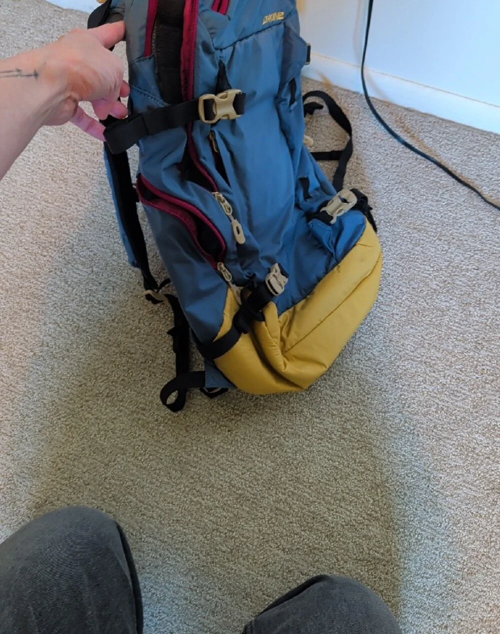 Dakine Blue Ski/Snowbard Backpack